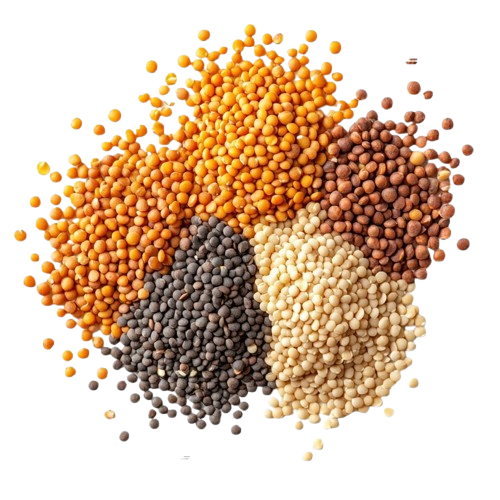 Filtration Reducers 7 GumCol Partners natural gums complete product range display hydrocolloids