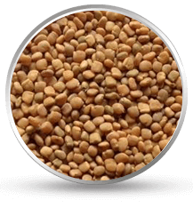 Filtration Reducers 2 GumCol Partners natural gums guar seeds raw material quality inspection farmers